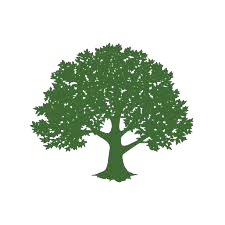 Green oak tree icon