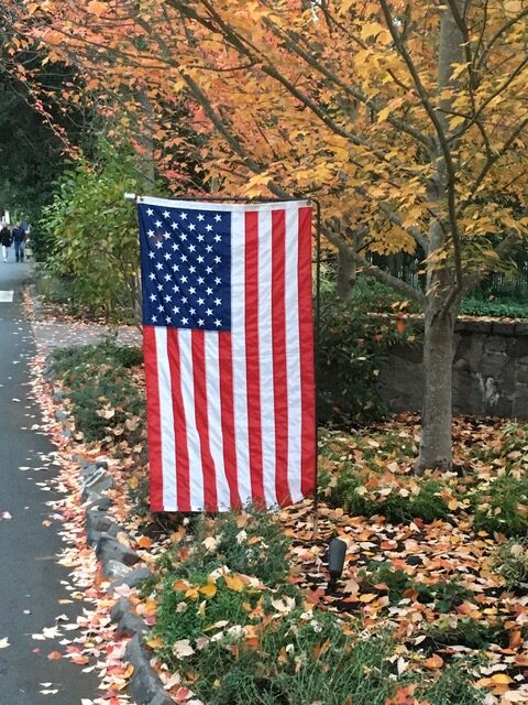 US flag hanging near a tree