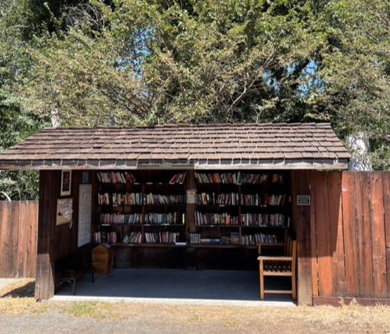 Bus stop filled with books